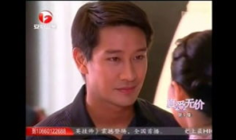 银狐电视剧国语版全集,穿越时空的传奇爱情