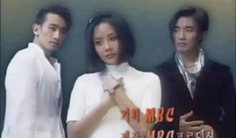 电视剧星梦奇缘国语版,青春追梦，星光璀璨的演艺之路