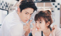 佳偶天成电视剧,甜蜜爱情与成长之旅