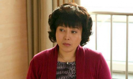 丁嘉丽电视剧,演绎人生百态，电视剧中的情感传奇