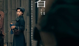 潜行者电视剧,暗影中的正义守护者