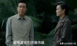 电视剧央视,揭秘历史风云，再现传奇人生