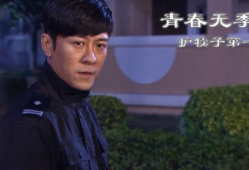 青春无季电视剧,时光流转中的青春记忆