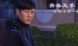 青春无季电视剧,时光流转中的青春记忆