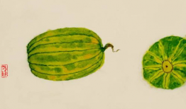 吃瓜爆料画画图片大全,揭秘娱乐圈幕后故事图鉴