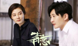 央视一套电视剧,穿越时空的传奇故事