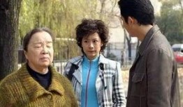 婆婆电视剧,一部揭示家庭和谐的电视剧