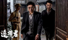 反特悬疑谍战电视剧,谍影重重