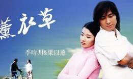 薰衣草电视剧,爱在花海中的浪漫邂逅