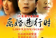 电视剧离婚进行时,离婚进行时的人生抉择