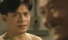 银狐电视剧国语版全集,穿越时空的传奇爱情