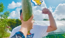 网红吃瓜爆料大全丽丽,网红吃瓜爆料大全背后的真相