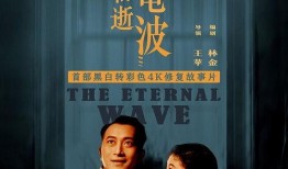 电视剧永不消逝的电波,永不消逝的电波传奇