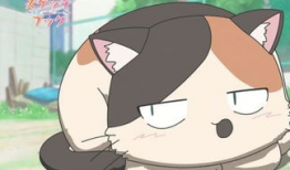 熟肉动漫,探寻美食与青春的交织之旅