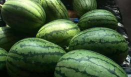 a718sx吃瓜爆料,揭秘娱乐圈幕后真相