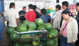 河南艺术学院吃瓜爆料,吃瓜爆料揭露惊人真相