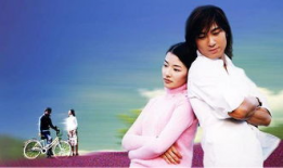 薰衣草电视剧,爱在花海中的浪漫邂逅