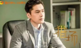 胡歌 电视剧,从古装传奇到现代都市的华丽蜕变