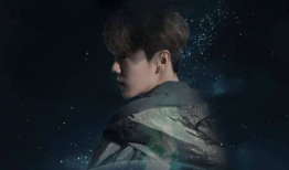 银狐电视剧演员表,众星云集，演绎民国传奇