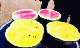 山东大学吃瓜大爆料,揭秘校园风云背后的真相