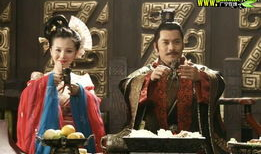 电视剧大风歌,秦汉风云中的英雄传奇