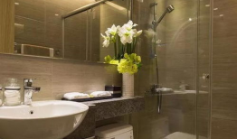 国产厕所精品,匠心独运，刷新卫生新体验