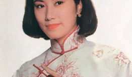 汪明荃演过的电视剧,跨越时代的荧幕传奇