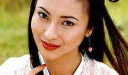 银狐电视剧演员表,众星云集，演绎民国传奇