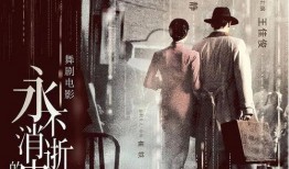 电视剧永不消逝的电波,永不消逝的电波传奇