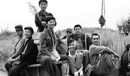 下乡知青的电视剧,青春记忆中的知青岁月