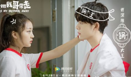 快把我哥带走电视剧演员表,快把我哥带走电视剧演员阵容大揭秘！