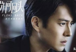 靳东电视剧大全集,靳东影视生涯经典剧集大盘点