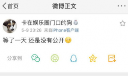 吃瓜爆料的号是什么,吃瓜爆料号背后的神秘故事