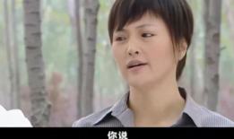 电视剧无处藏身,揭秘都市生存法则与人性较量