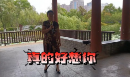 梦圆何方电视剧 全集,命运交织，青春追梦之旅