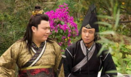 宋丹丹的电视剧大全,笑与泪交织的精彩人生