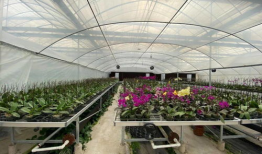 吃瓜群爆料大棚图片真实,吃瓜群爆料揭示农业新面貌