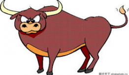 动物动漫,动物动漫的奇幻冒险之旅