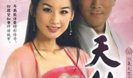 黄圣依电视剧,演绎传奇人生，电视剧中的璀璨星光