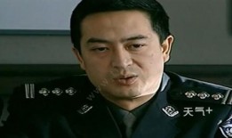 林荫局长是什么电视剧,权谋与情感交织的官场风云