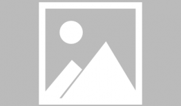 薰衣草电视剧,爱在花海中的浪漫邂逅