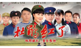 杜鹃红了电视剧,传奇女子的抗战传奇