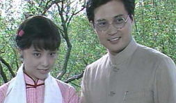 家春秋电视剧分集剧情,家族兴衰，情感纠葛，百年风云录