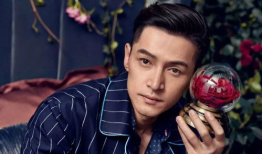 胡歌 电视剧,从古装传奇到现代都市的华丽蜕变