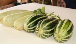 网红吃瓜爆料大全丽丽,网红吃瓜爆料大全背后的真相