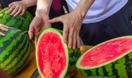 山东大学吃瓜大爆料,揭秘校园风云背后的真相