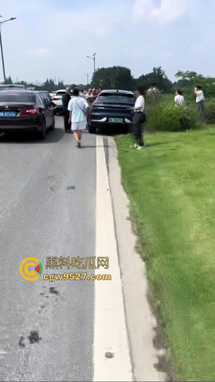 成都极氪撞护拦事故，严重的交通事故安全气囊居然没有弹出来，完全失去自救的机会，买极氪的朋友要注意啦！-1