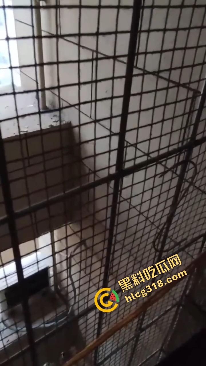 潍坊住户天天叫小姐，夜夜啪啪震天响，大半夜高潮惨叫像杀人，住户忍无可忍拍视频发物业群！-8