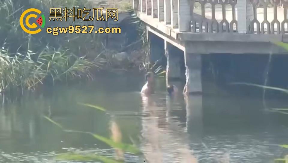 热心男子勇救落水女子，还知道从背后救，挺专业的，摇摇晃晃推到岸边，下次这种落水女子麻烦让我来救！-3