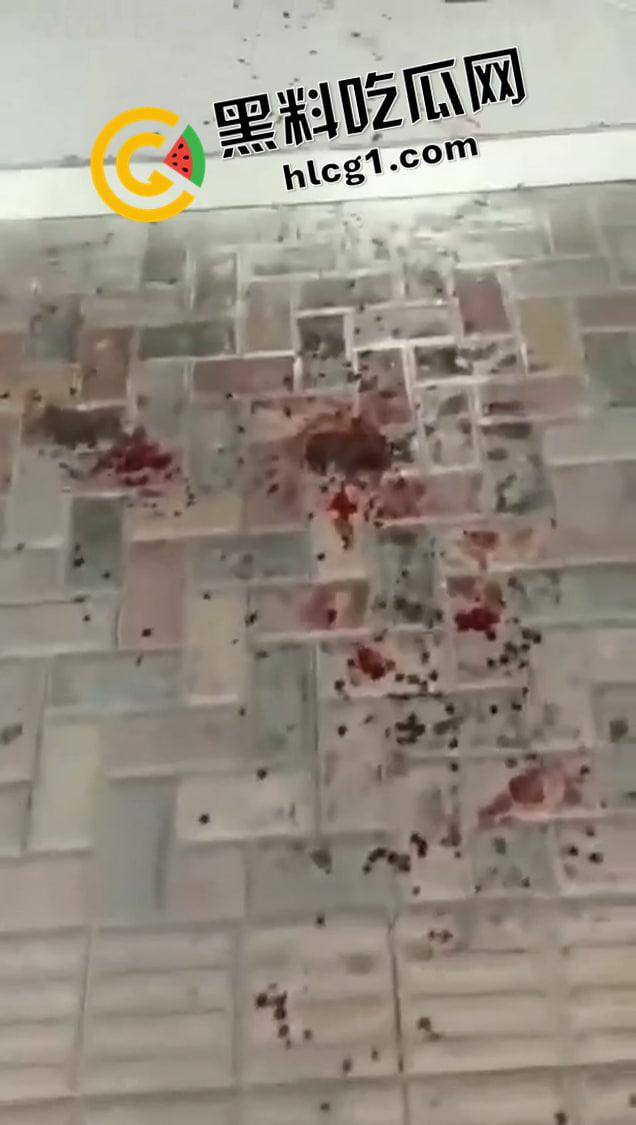 血腥！女子医院前自杀 拍视频记录最后一刻 鲜血直流无人救援 这是多绝望才出此下策-3